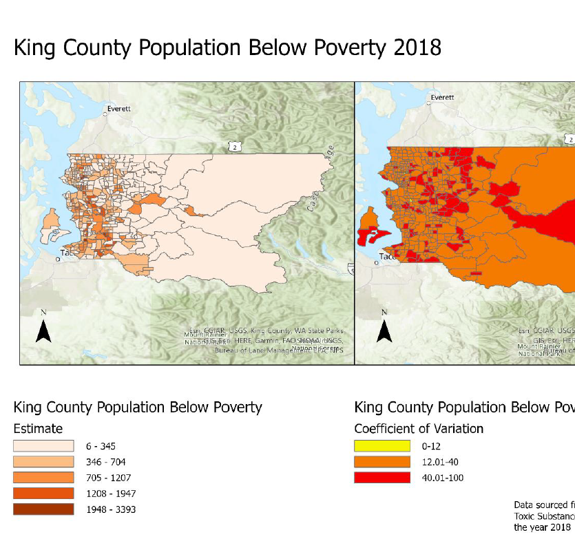 King County Poverty